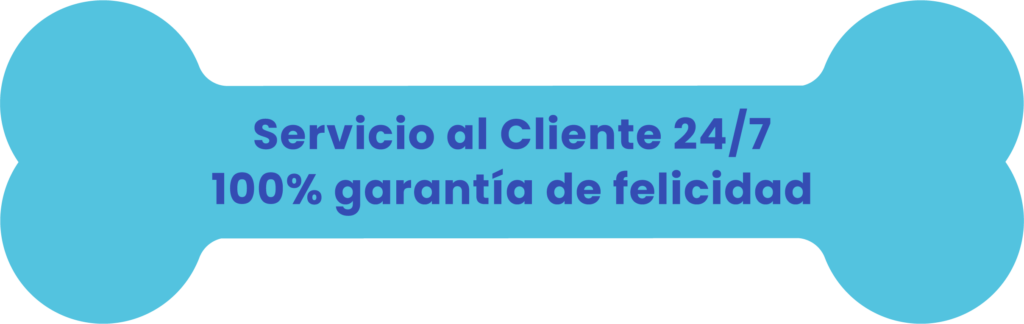 Inicio 4 Web Badi 06