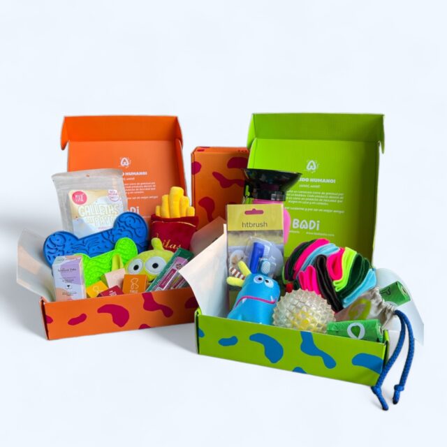BadiBox 12M