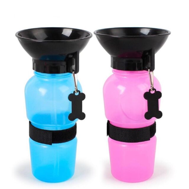 TERMO DE AGUA PARA PERROS